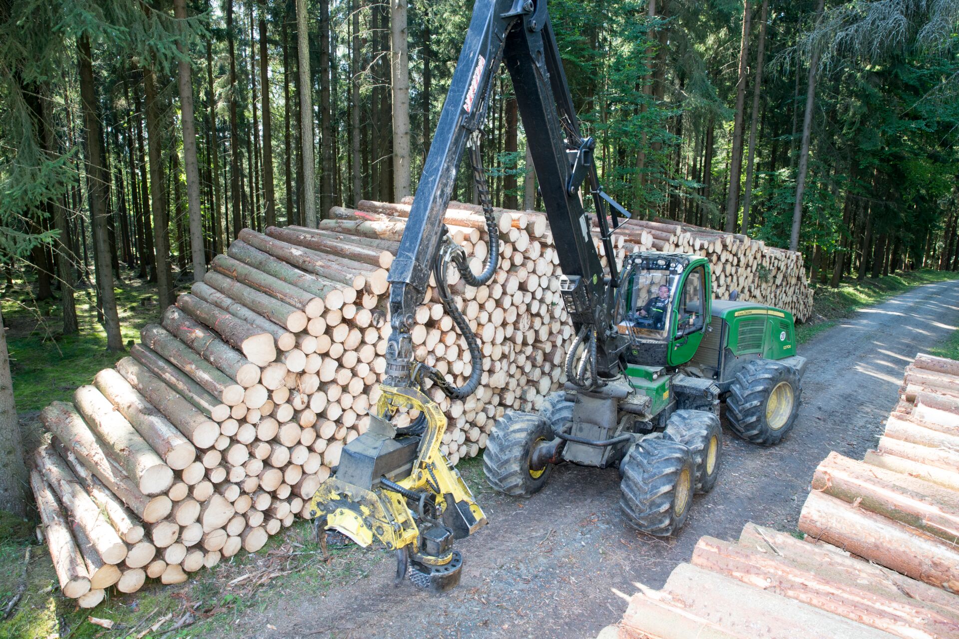 Waldwirtschaft Falkenstein Waldpflege Holzhandel