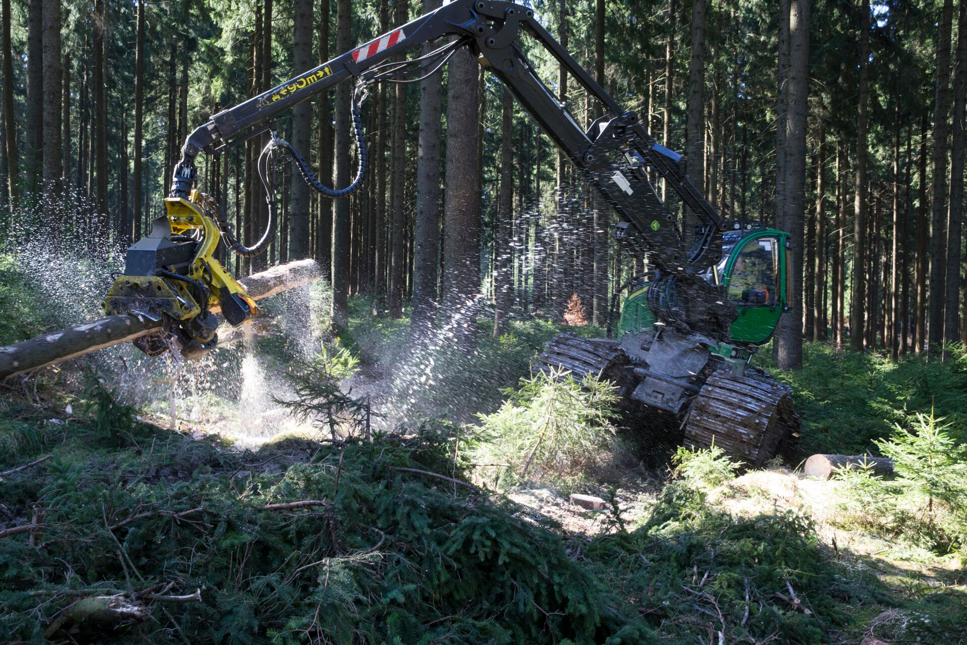 Waldwirtschaft Falkenstein Waldpflege Holzhandel